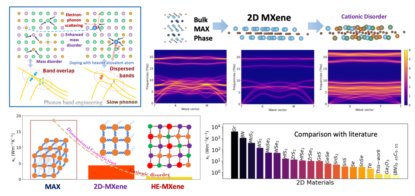 Crystal structures, phonon dispersion, and thermal conductivity comparisons